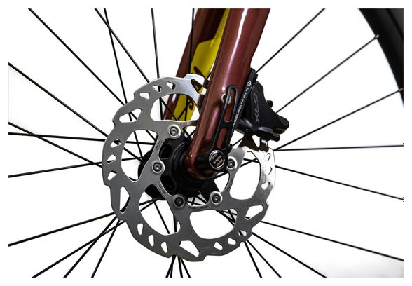 Bicicleta de gravilla Wilier Triestina Jena Shimano GRX 11S 700 mm Verde Oliva 2023
