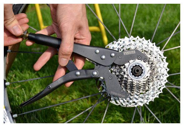 Pedro's Vise Whip II Freewheel Clamp