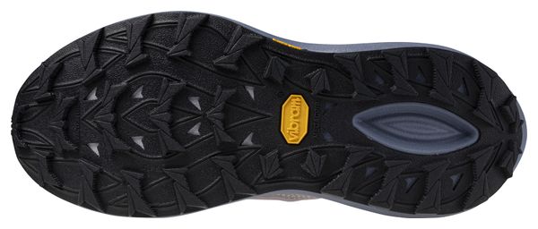 Mizuno Neo Daichi 10 Trail-Schuhe, grau/blau, Damen