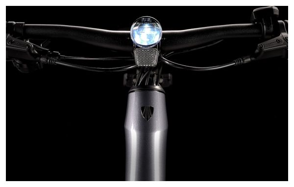 Vélo de Fitness Électrique Trek Dual Sport+ 2 Shimano Altus 9V 250 Wh 650 mm Gris 2023