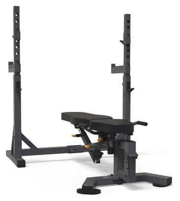 Banc multifonction ION Fitness FI503