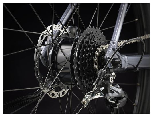 Vélo de Fitness Électrique Trek Dual Sport+ 2 Stagger Shimano Altus 9V 250 Wh 650 mm Gris