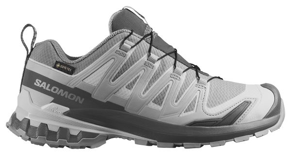 Chaussures Trail Salomon XA Pro 3D V9 GTX Gris Femme