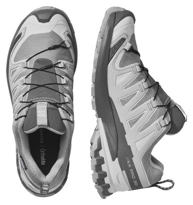 Chaussures Trail Salomon XA Pro 3D V9 GTX Gris Femme