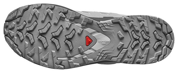 Chaussures Trail Salomon XA Pro 3D V9 GTX Gris Femme