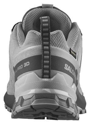 Chaussures Trail Salomon XA Pro 3D V9 GTX Gris Femme