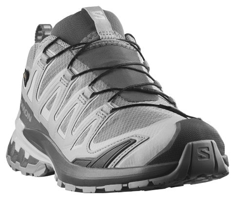 Chaussures Trail Salomon XA Pro 3D V9 GTX Gris Femme