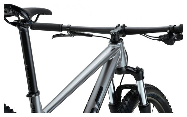 BMC Twostroke AL Six Hardtail MTB Shimano Deore 10S 29'' Grey 2022