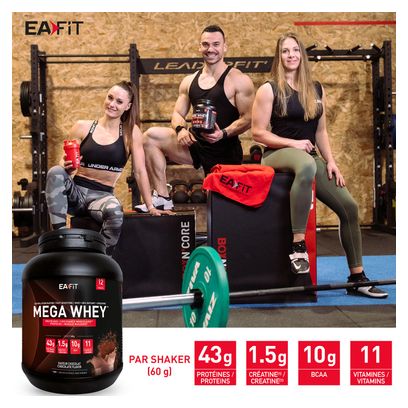 EAFIT Mega Whey Chocolat 750gr