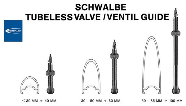 Pair of Schwalbe Tubeless Black Valves