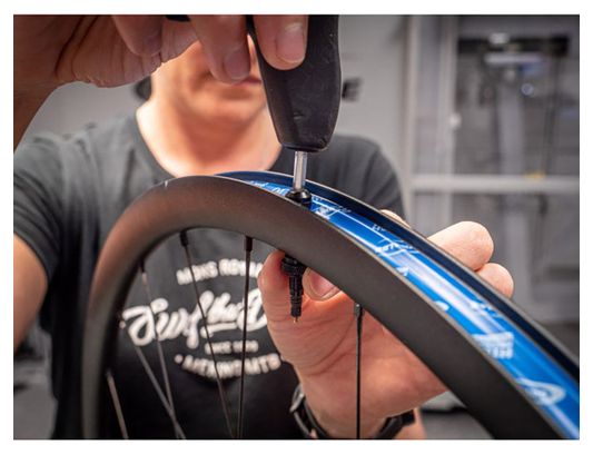 Pair of Schwalbe Tubeless Black Valves
