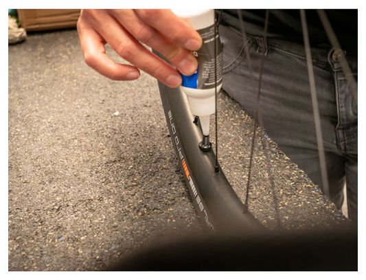 Pair of Schwalbe Tubeless Black Valves