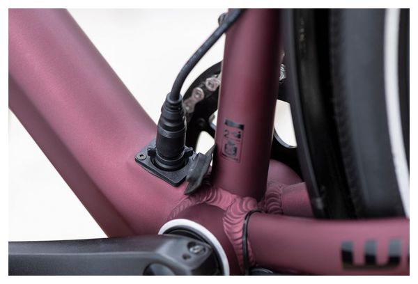 Winora E-Flitzer Shimano Deore 10V 250 Wh Cherry Red 2023