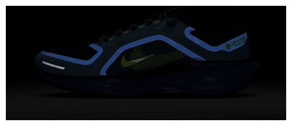 Nike Pegasus 41 GTX hardloopschoenen Groen/Blauw Heren