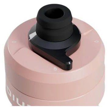Camelbak Insulated Steel Petal Rose-drinkfles - 530 ml