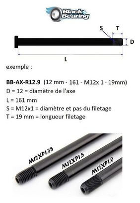 Axe de roue - Blackbearing - R12.20 (12mm-178-m12mm1.75-20mm)