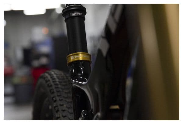 Wolf Tooth Seatpost Clamp Gold