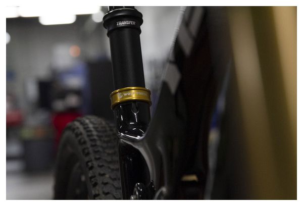 Collier de Selle Wolf Tooth Seatpost Clamp Or