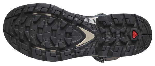 Chaussures de Randonnée Salomon Quest Element GTX Bleu Gris Femme