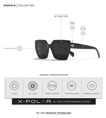 Lunettes de soleil Uller Sequoia Noir