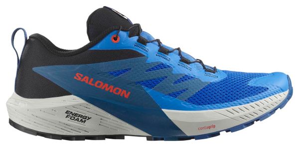 Zapatillas de trail Salomon Sense Ride 5 Azul Hombre