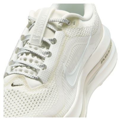 Nike Pegasus Premium Women's Running Shoes in White/Silver