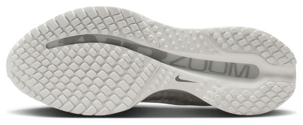 Nike Pegasus Premium Women's Running Shoes in White/Silver
