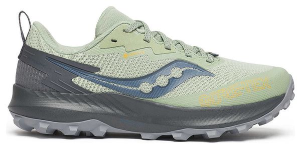 Scarpe da trail Saucony Peregrine 14 GTX da donna Verde/Grigio