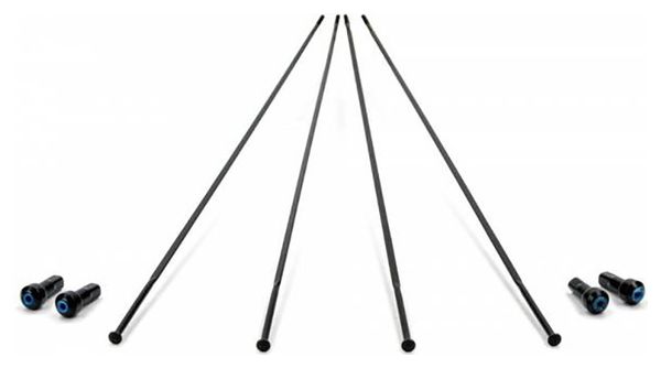 Lot de 4 rayons roue à disque avant gauche/arrière droit Campagnolo bora one 50