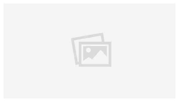 Forfait Revision Fourche FOX 34