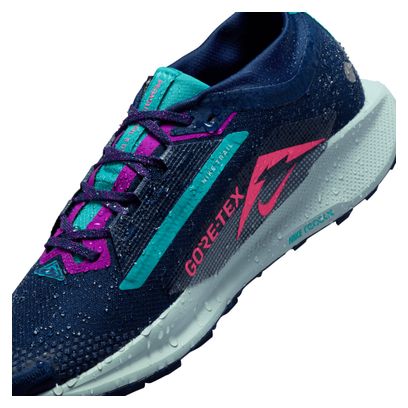 Chaussures Trail Nike Pegasus Trail 5 GTX Bleu/Rose Homme