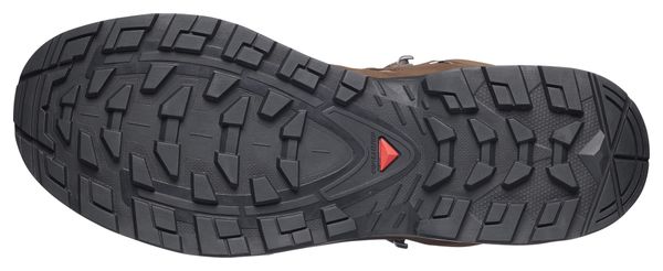 Scarpe da trekking Salomon Quest 5 GTX Marrone Uomo