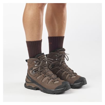 Scarpe da trekking Salomon Quest 5 GTX Marrone Uomo