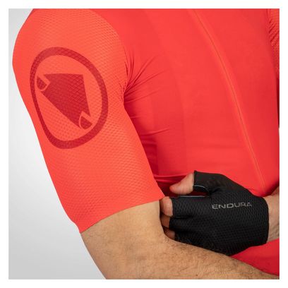 Gants Courts Endura EGM Noir