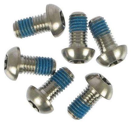 AVID Titanium Screw Kit für Disc (x6)