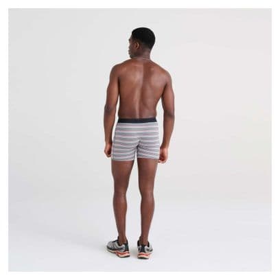 Boxer Saxx Quest Quick Dry Mesh Brief / Field Stripe - Charcoal