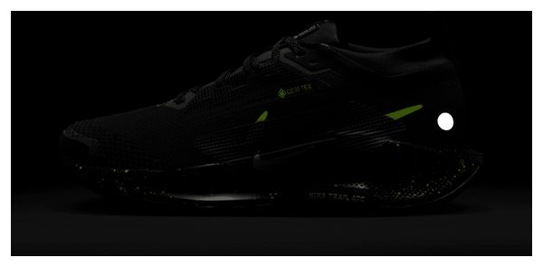 Nike Pegasus Trail 5 GTX Zwart/Bruin/Groen Damesschoenen
