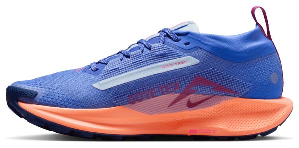 Scarpe da trail Nike Pegasus Trail 5 GTX Blu/Rosa Donna