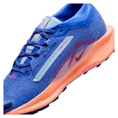 Scarpe da trail Nike Pegasus Trail 5 GTX Blu/Rosa Donna