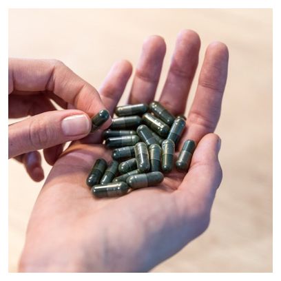 Organisch Spirulina Tonic Voedingssupplement