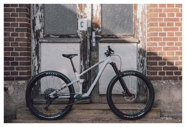 Cube Stereo One55 C:62 Race Full Suspension MTB Sram GX/NX Eagle 12S 29'' Light Grey 2023