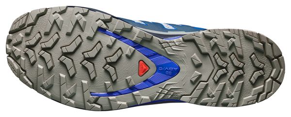 Salomon XA Pro 3D V9 Trail-Schuhe, grau/blau, für Herren