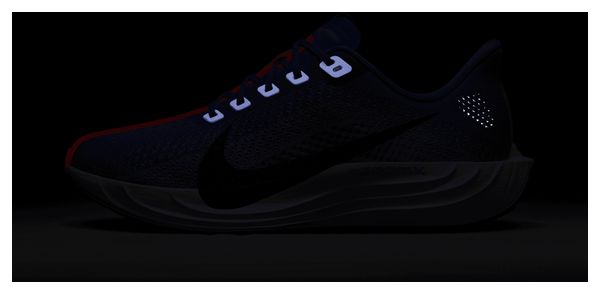 Nike Pegasus Plus Blue/Purple Women's Running Shoes