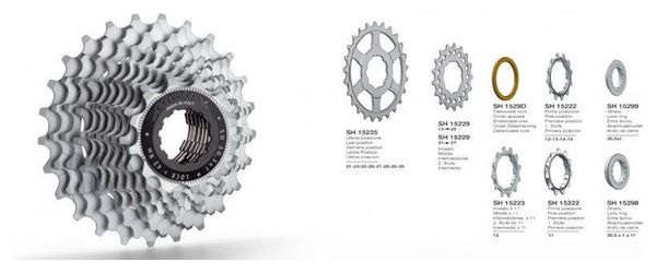 PIGNON MICHE SHIMANO 11v FINAL 29D.