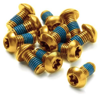 Reverse Disc Rotor Bolt Steel M5 x 10 mm Gold