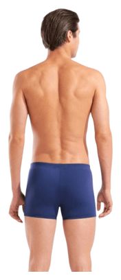 Arena Graphic Blue/White Men's Swimsuit