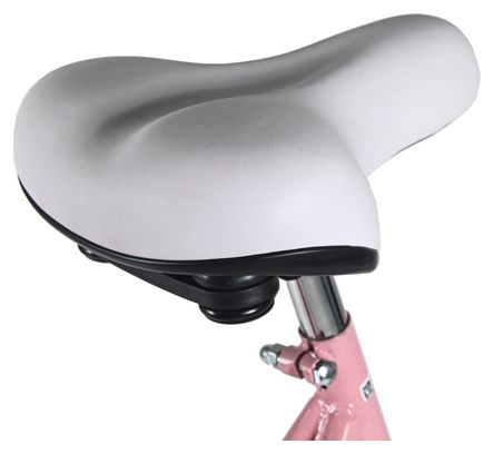 Vélo de ville Femme 28  Classic Premium avec panier Rose DaCapo