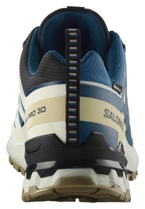 Chaussures Trail Salomon XA Pro 3D v9 GTX Bleu/Beige Homme