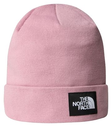 Pink north face beanie best sale