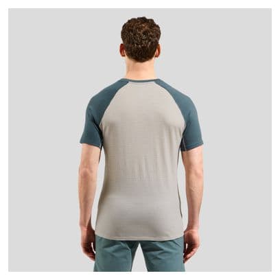 T-shirt Technique Odlo Ascent Performance Wool 125 Gris
